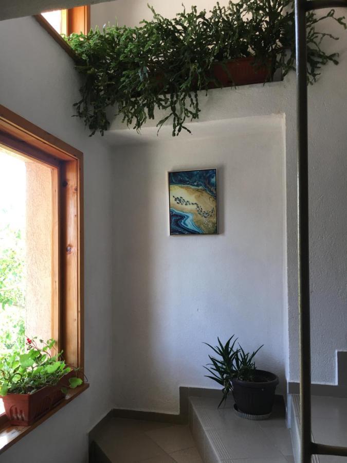 Chervenkov Guest House 체르노모레츠 외부 사진