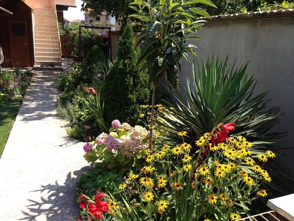 Chervenkov Guest House 체르노모레츠 외부 사진