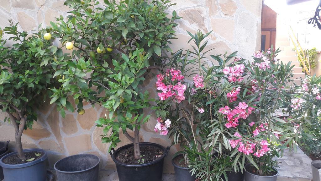 Chervenkov Guest House 체르노모레츠 외부 사진